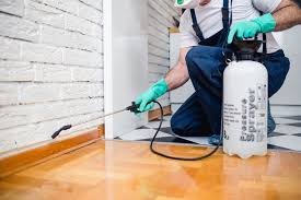 Best Fumigation Services  in Marksville, LA